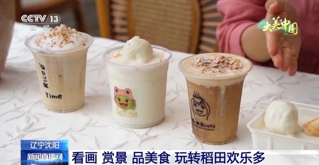 湿地候鸟翩跹 荷塘万亩飘香 看大美中国绿色发展新画卷