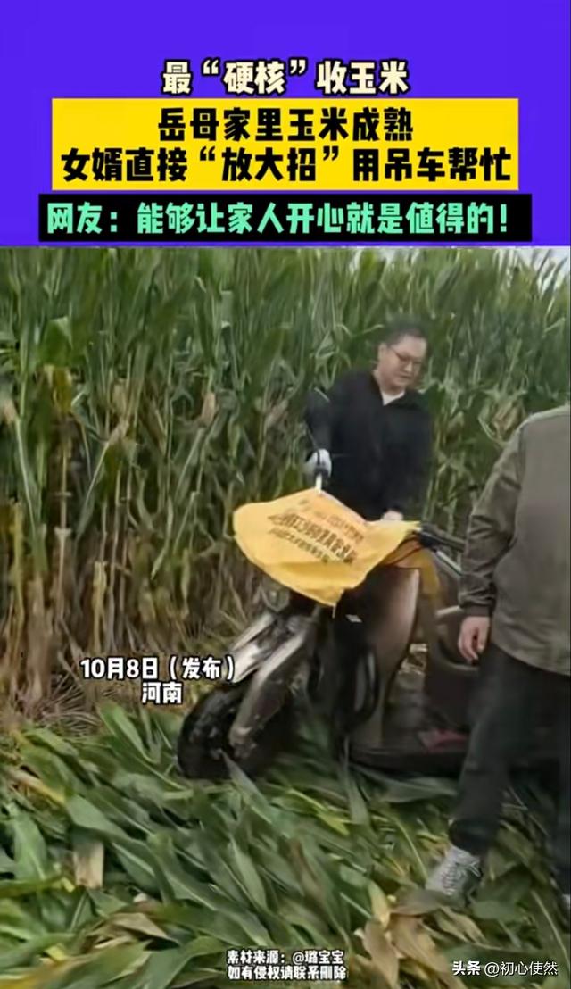 河南女婿太硬核！用吊车帮岳母收玉米，全网夸赞