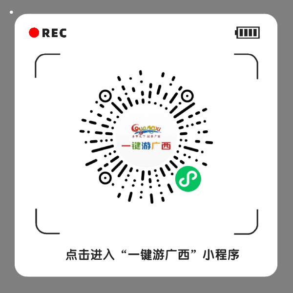 崇左市文化遗产保护技术培训与分享会在宁明召开