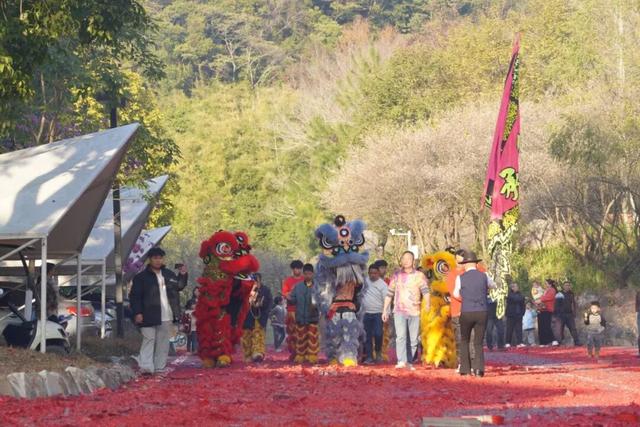 回家 | 浅山会乡村度假酒店开业啦！