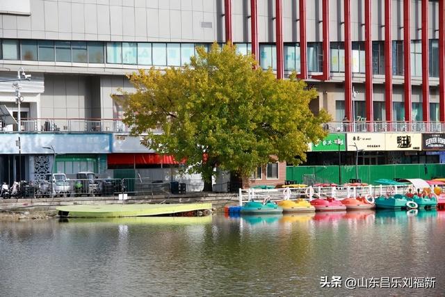 白浪河畔·奎文门