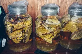 私藏配方！这5款泡酒方简单又实用，建议收藏图片