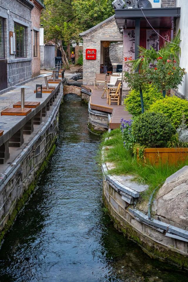 被济南泉水下的世界惊艳到了！