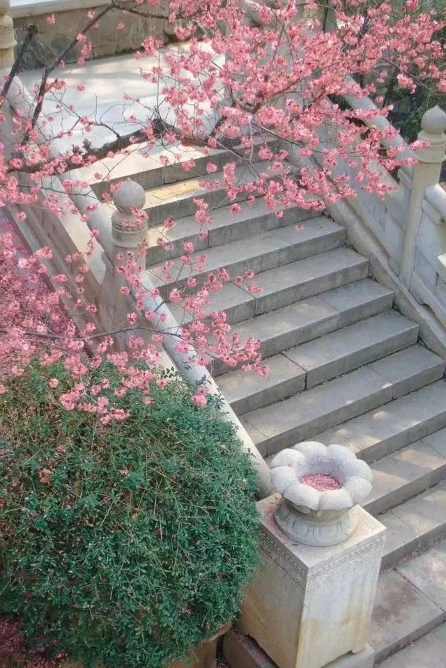 妇女节遇周末！来兴庆宫踏青，做自己的女王