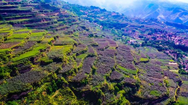 "咔嚓！"→文县