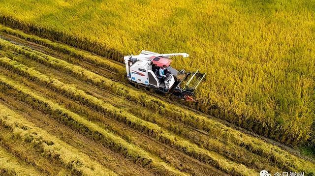 崇州经济发展迅速，景区魅力引人期待