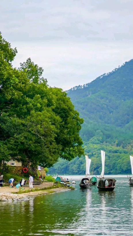 浙江“巨无霸”地级市，土地面积全省第一，温州、绍兴都望尘莫及