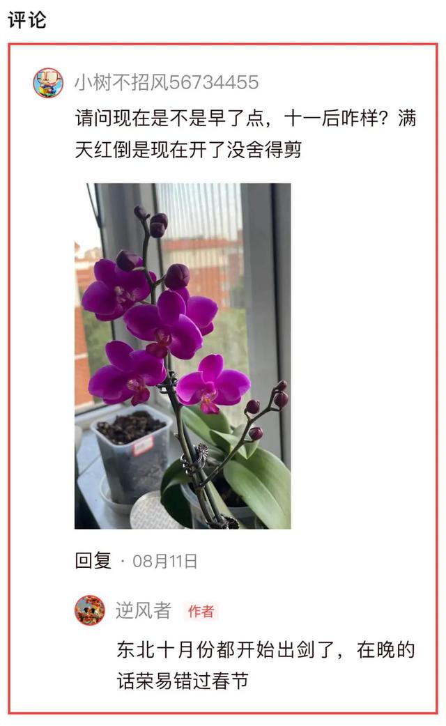 敢不敢来参加头条园艺pk赛
