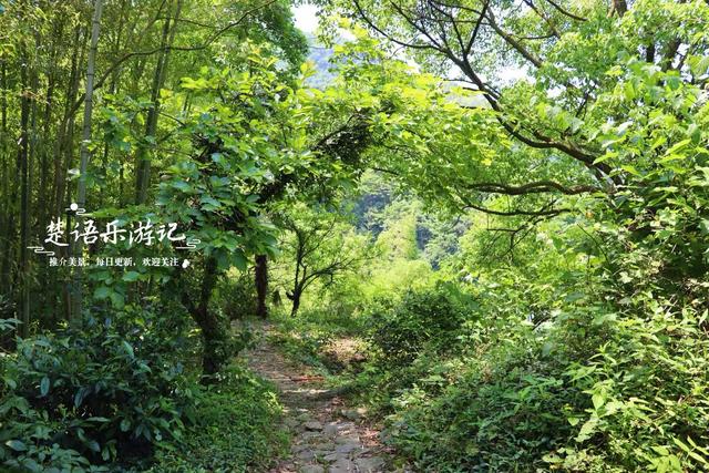浙江宁波这处“仙境”也在升级改造，丛林茶座很美丽，是休闲胜地