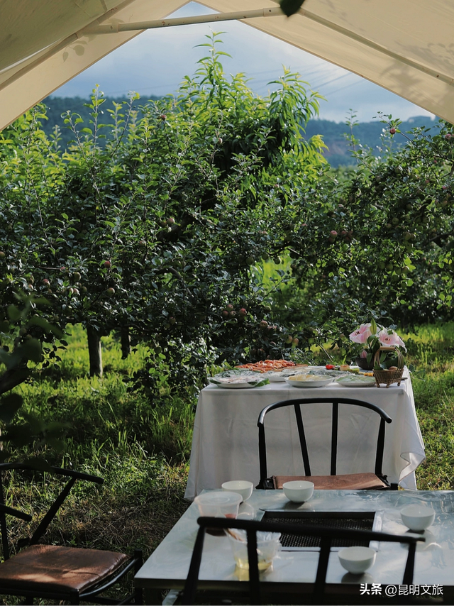 走进西山团结街道，感受藏在时光褶皱里的诗与闲