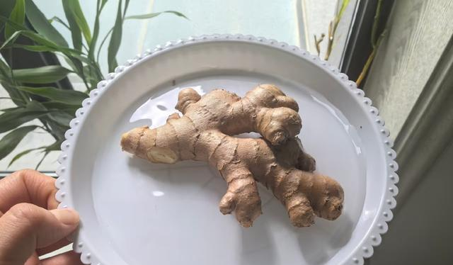 河南一阿姨，因“水培生姜太有意境”走红，网友：禅意十足！