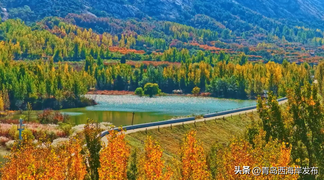 走不出这画了，我已被西海岸的秋景迷倒 🥹