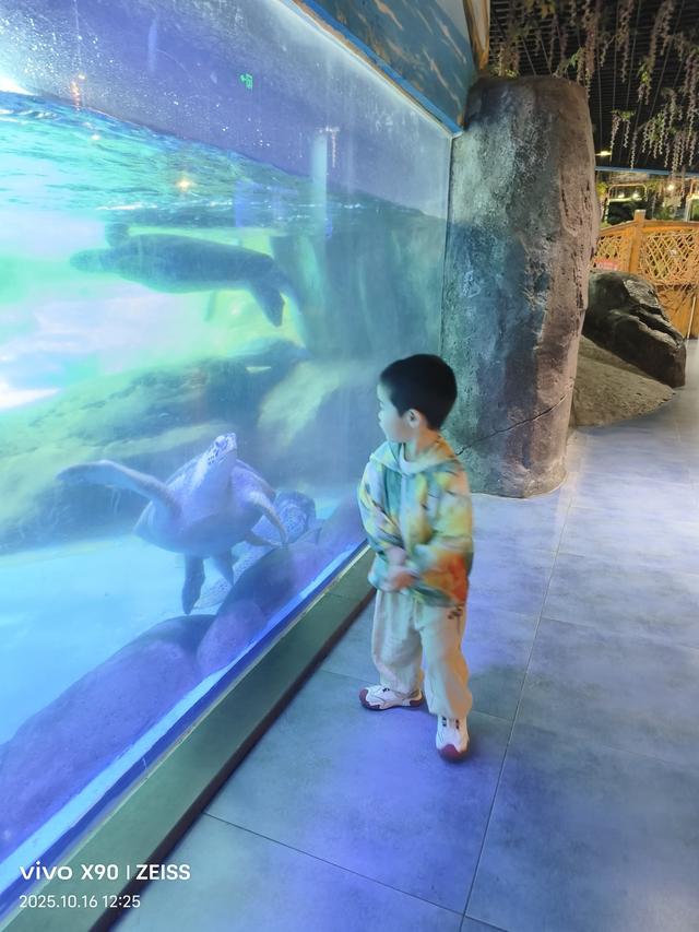 成都 极地海洋公园（58）2025年10月16日