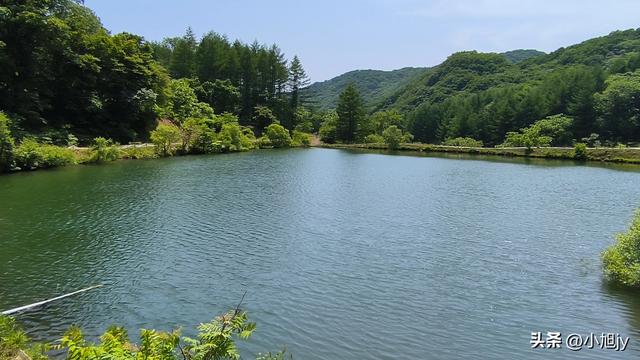 两次本溪南岭徒步记｜高山草甸，湖池松林，我被南岭种草