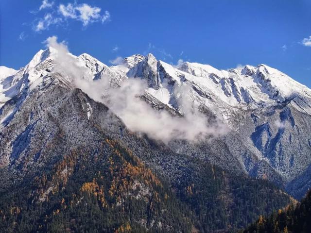 九寨沟冬日限定皮肤上线！快来九寨沟赏雪林彩池啦~