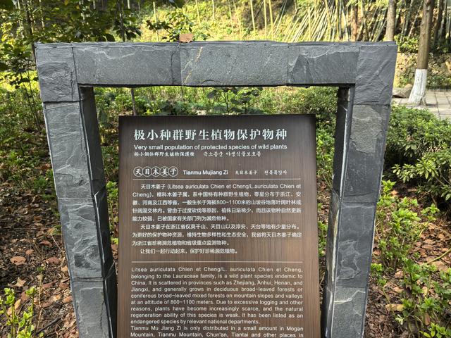 浙江湖州市德清县莫干山国家风景名胜区游记（下）