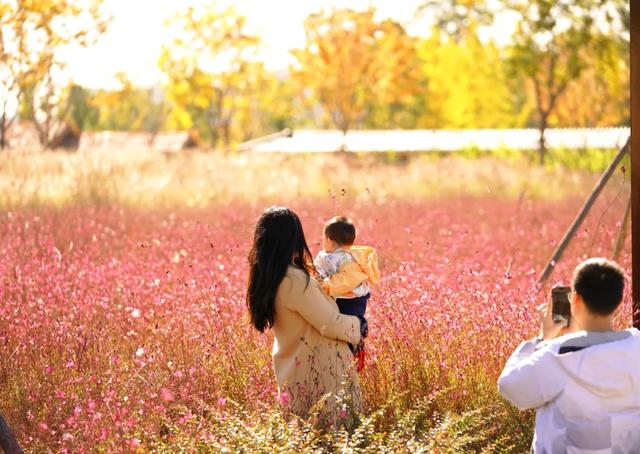秋景秋色秋意浓，北京城市副中心藏着古今交融的浪漫