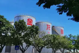 金龙鱼增资鲁花集团，携手关联方合计持股将超26%图片