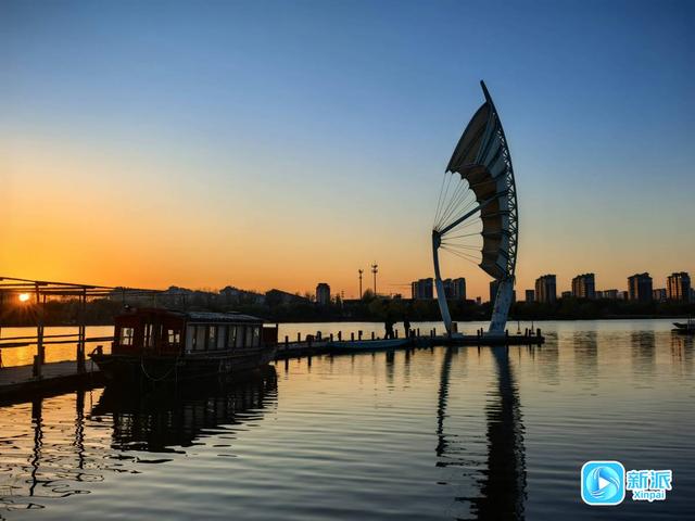 朝看芦苇夕望鸟，潍坊这里的冬日氛围感拉满！