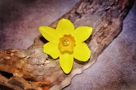 背叛者感情的人，和情人开启这3种相处模式：原配的挽回，没意义图片