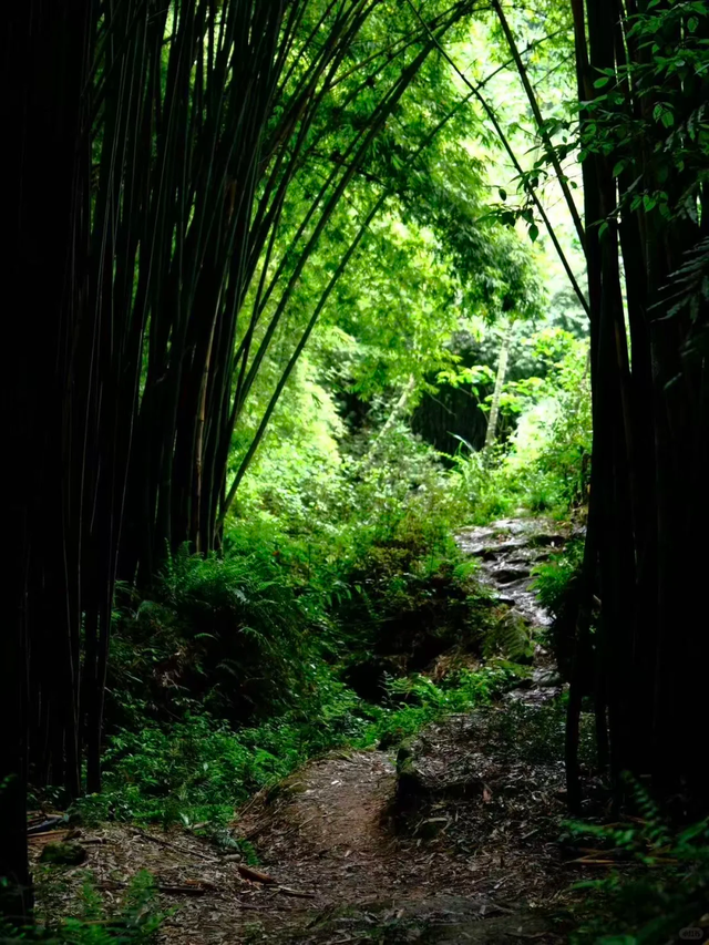 3刷这条野趣十足的徒步路线，成都1.5h可达，冷门清幽！