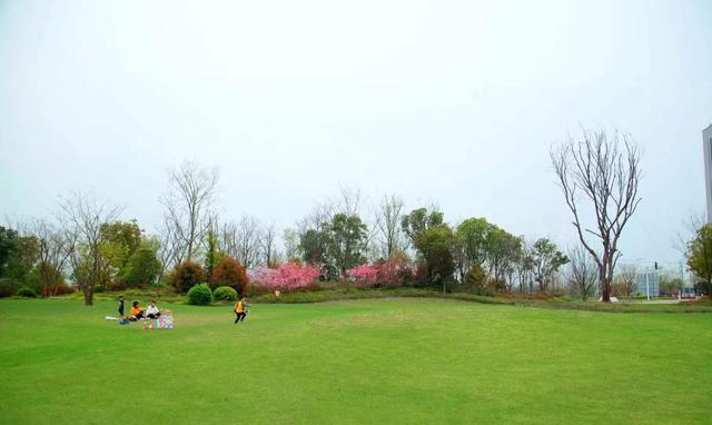 我是山东人刚从西藏那曲回来，实在忍不住想说：对那曲的5点印象