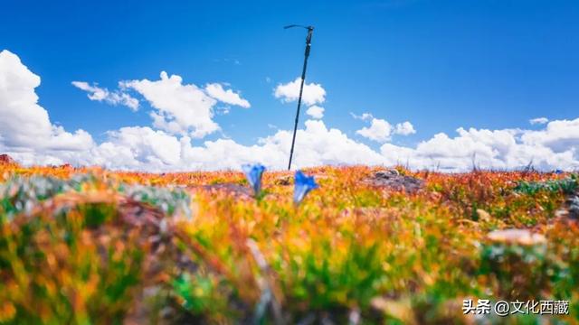 太巧了！在拉萨随意爬了一座山，却误打误撞“再续前缘”