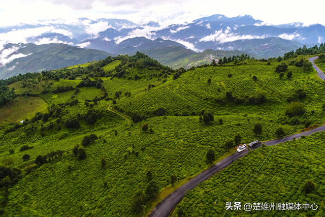 来楚雄，顺“路”丨四季康养·旅居楚雄