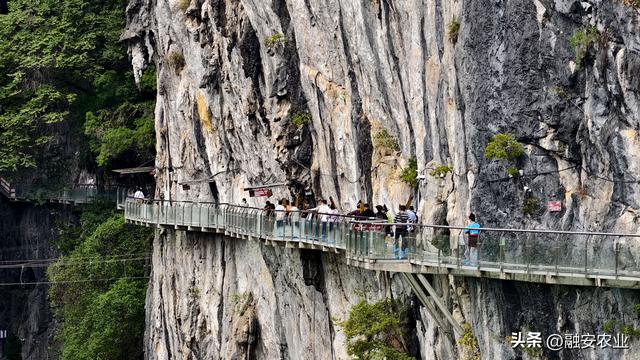 广西融安：秋高气爽引客来