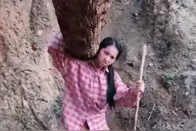 想不到吧？这就是大凉山网红主播下山背着的木头，居然是空心的！图片