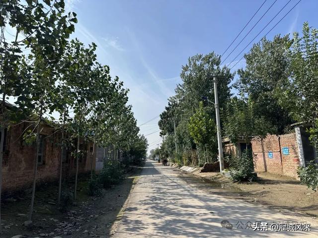 冠县乡韵·兰沃乡大柳邵村