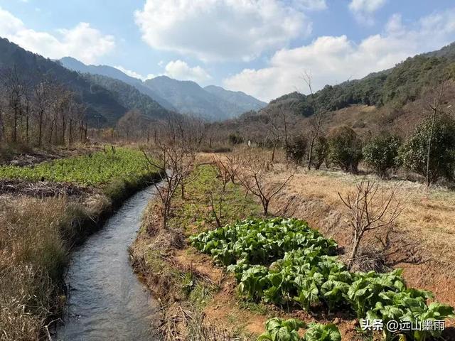阳光明媚的冬日里,我们爬山去,逛陡坡村、看冬樱花,做晴朗的事