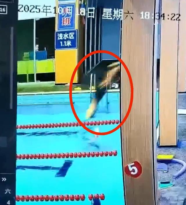 全运会跳水赛落幕，最大赢家浮现，2大输家意外，全红婵无奈回应