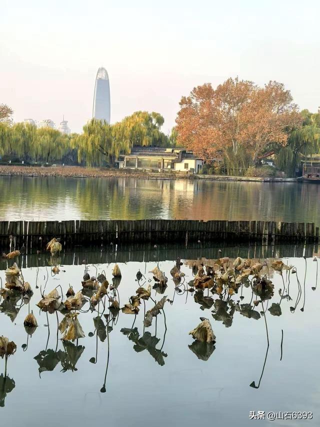 新华社原军事记者陶俊峰泉城美拍：《初冬大明湖晨曦美景》