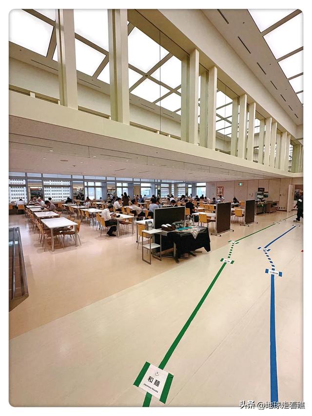 东京都厅:公务员食堂+免费观景台,这才是东京最“内行”玩法!
