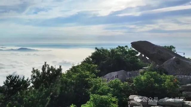 我想离开浪浪山，去看看泰山的四季轮转！