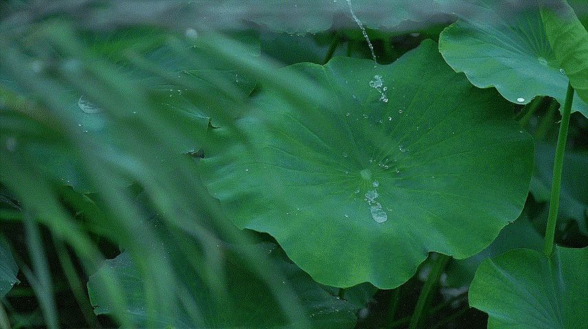 淄博这几处撩人胜景，恰似“烟雨江南”！