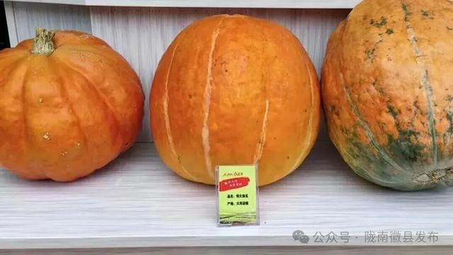 徽县第二届“诗韵大河•文池秋色”庆国庆迎中秋农文旅赋能促消费活动预告出炉，精彩抢先看！