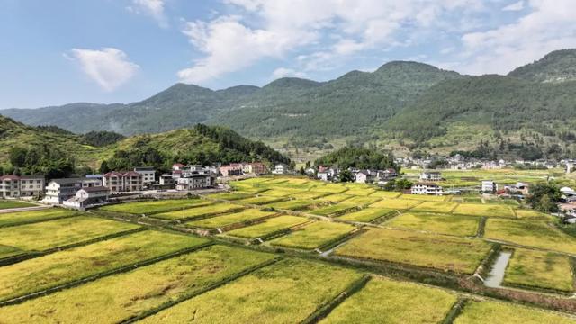 小布丁·早安丨地名里的重庆:三河淌过包鸾镇,竹席载着岁月长