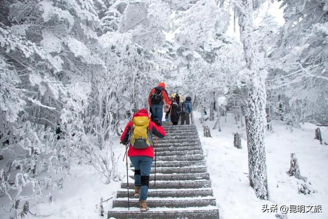 “一站直达”畅游春城，昆明直通车人气爆满！去海晏村、轿子山太方便啦！