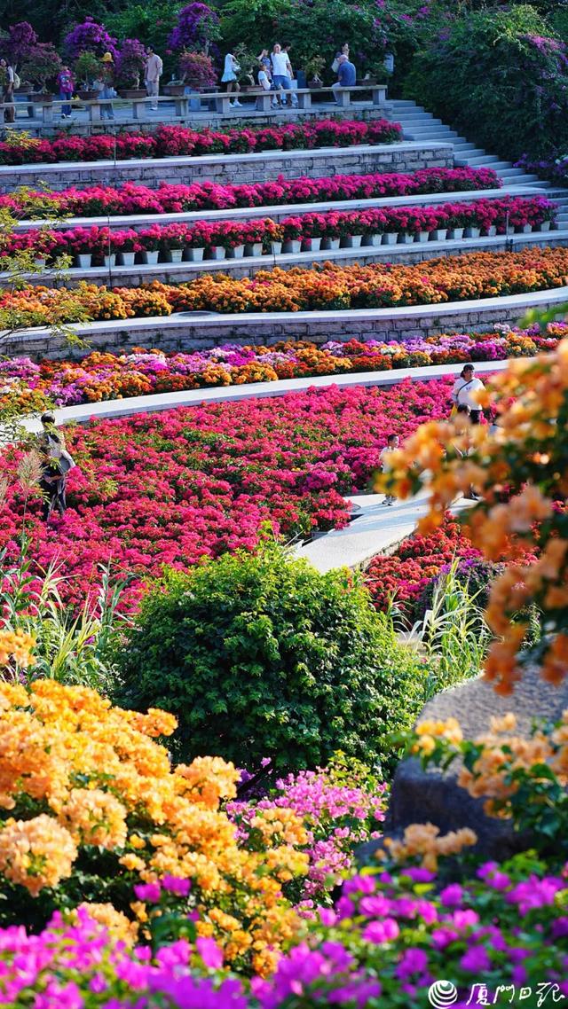 厦门又一网红出片点位,上新!美成偶像剧取景地→