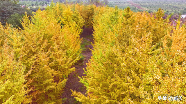 涉县：美拉德配色里，藏着橙黄橘绿的诗意