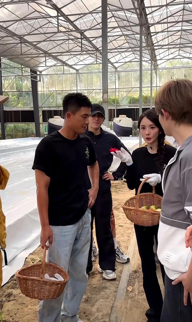欧豪和杨幂现身菜园子，杨幂打扮好漂亮，欧豪比其他人更像农民
