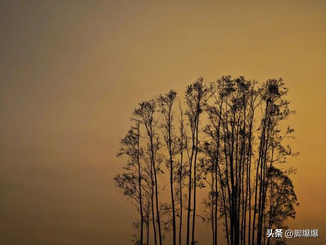 芦花似雪秋意浓！来吴阳，赴一场浪漫的芦荻之约