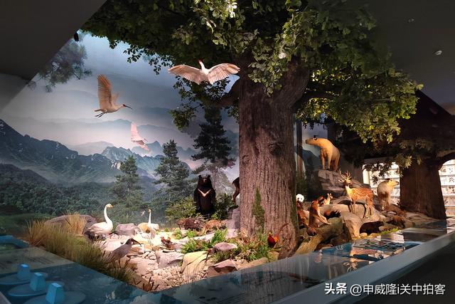 和合南北 泽被天下：中国秦岭文化展