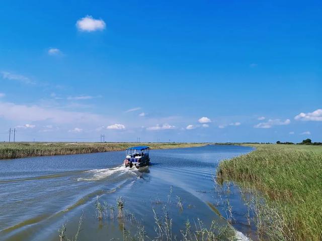 【黄河口生态旅游区】抓住假期的小尾巴，邂逅自然多彩魅力