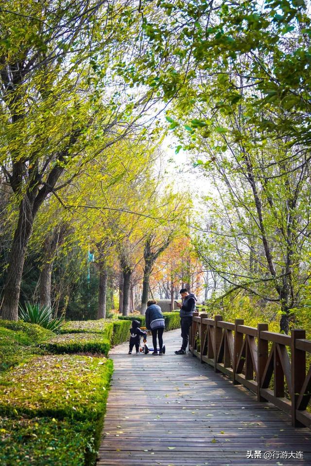 周末不无聊~带娃去这些地方“放电”，还能涨知识！