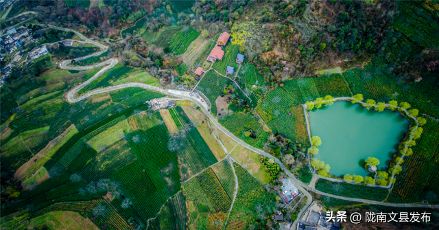 过年去哪儿？陇南！邂逅甘肃最早的金色春天
