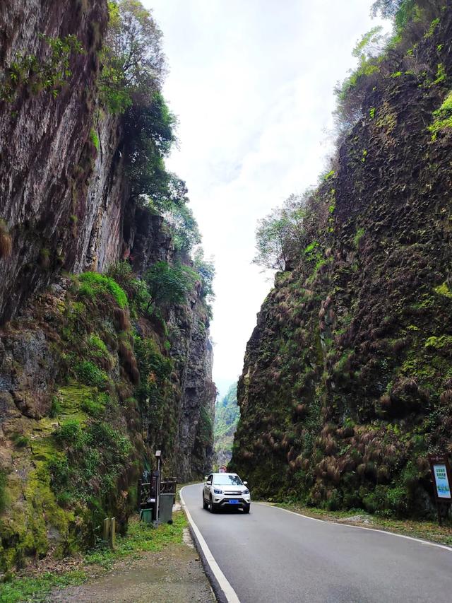 秋冬遛娃“药”新鲜！能吃能玩还能“养”，这条游玩路线一站式拿捏