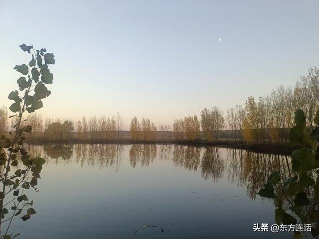 白洋淀笔记：黄昏，走在四门堤里的小堤上